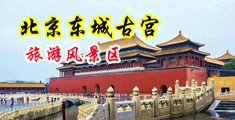 4P男操美女小骚嫩逼小穴A级视频中国北京-东城古宫旅游风景区